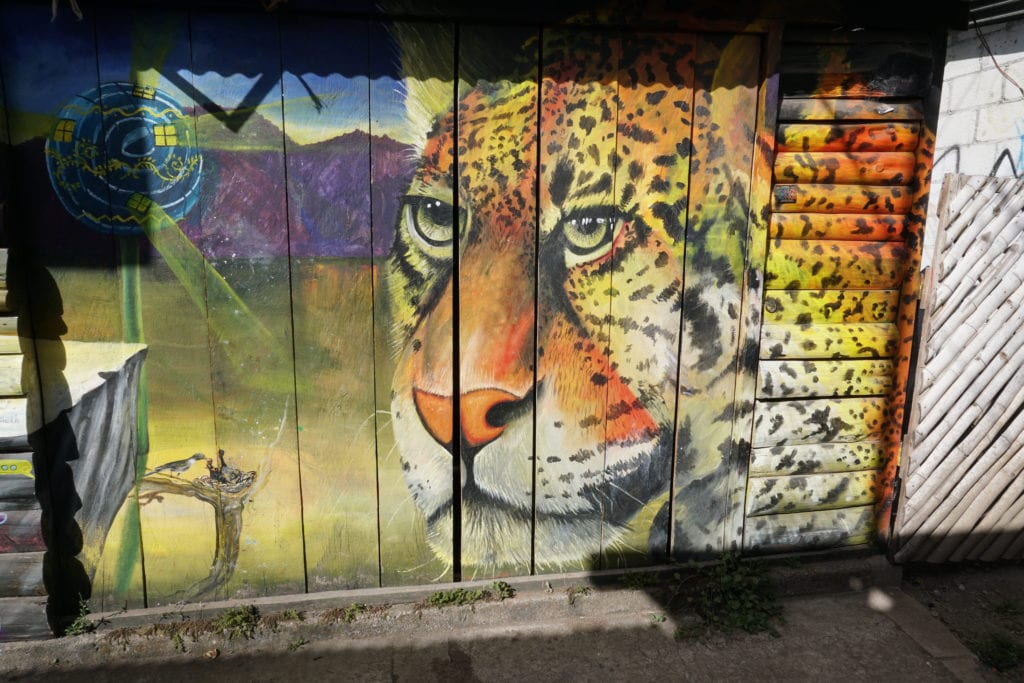 Wall mural jaguar