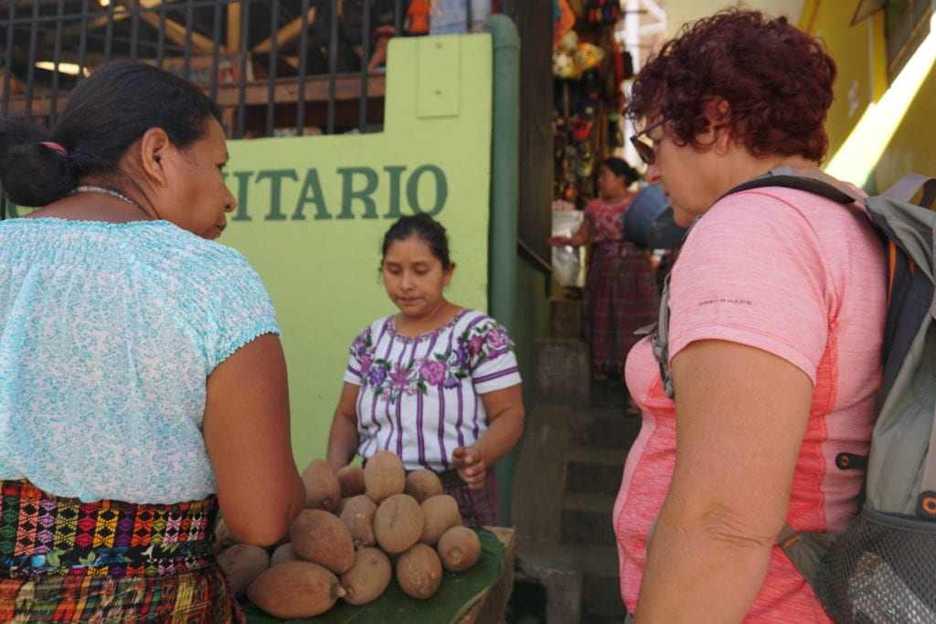 Picking zapote fruit local market San Pedro