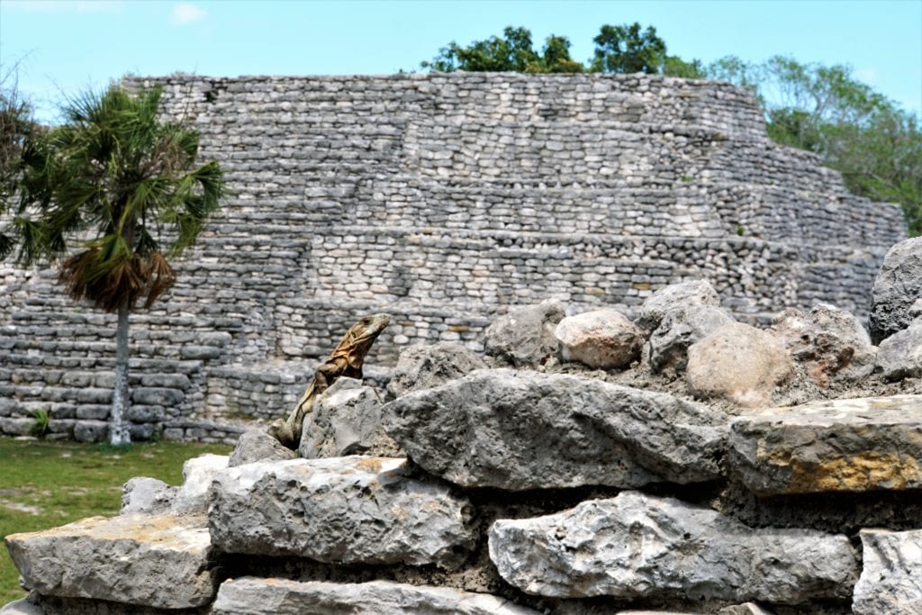 Pyramid at Xcambo Mayan ruin