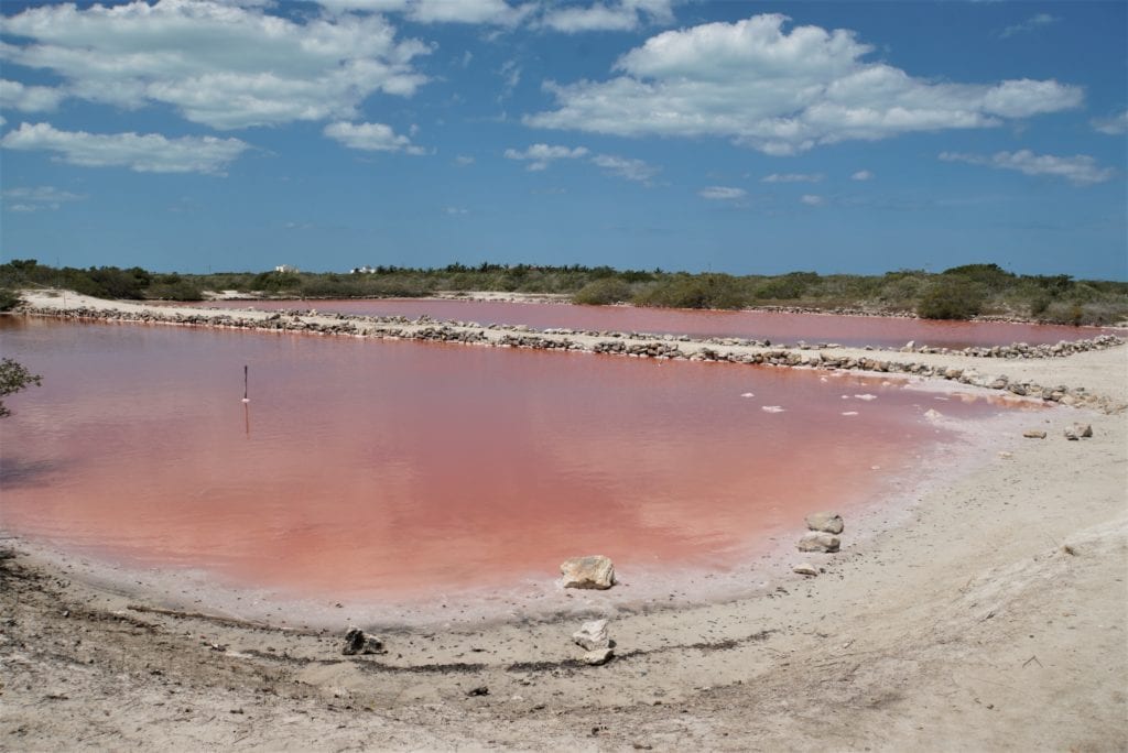 Salt ponds located at Laguna Rosada,