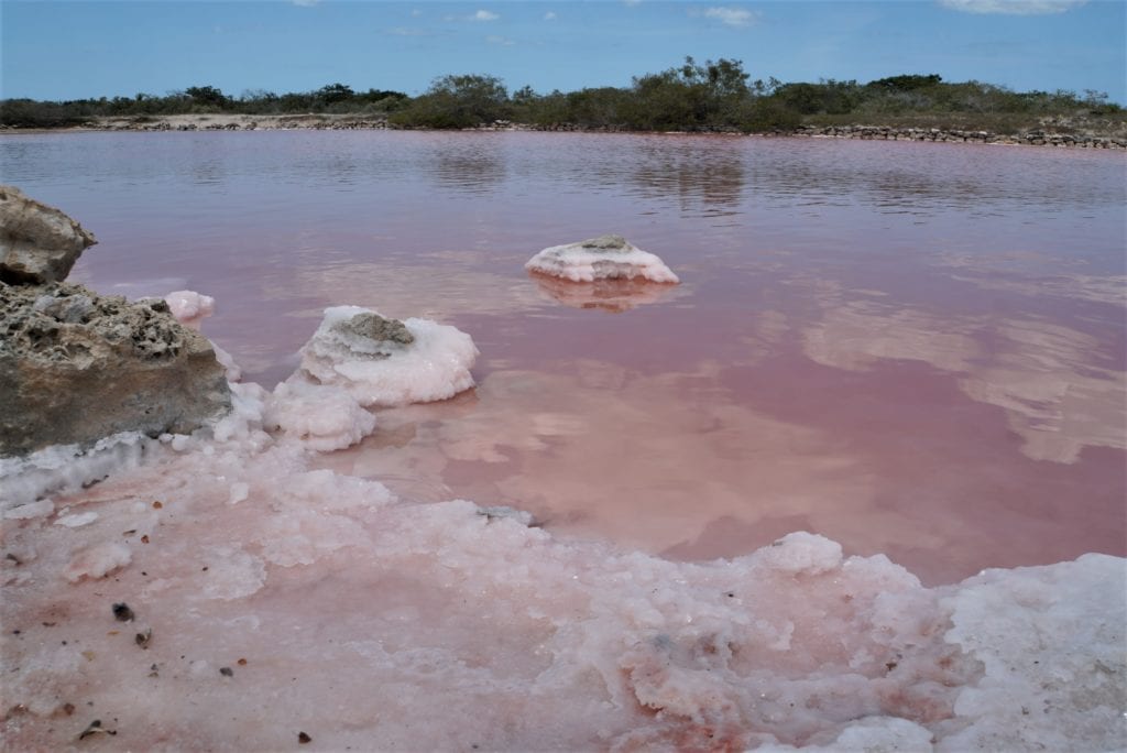 Pink salt pond at Laguna Rosada,