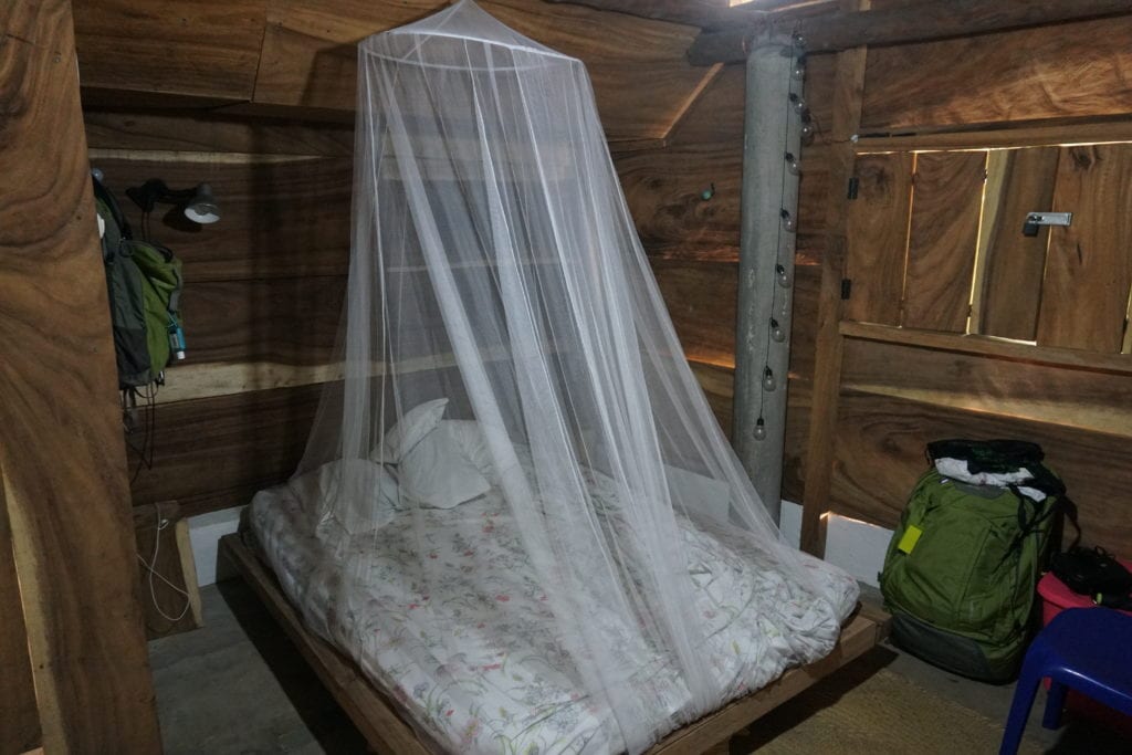 bed with net around it