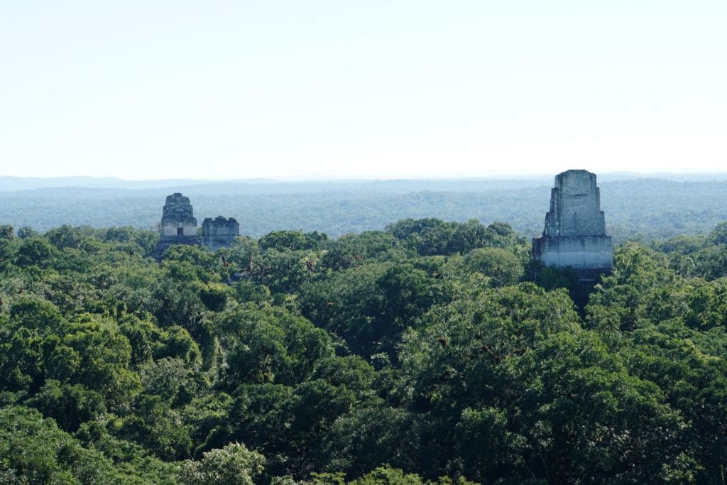 Temple III, Temple II & Temple I viewed from Temple IV Tikal