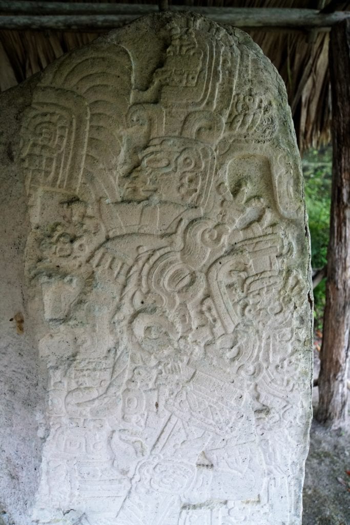 Stelae chief amazing seen Tikal