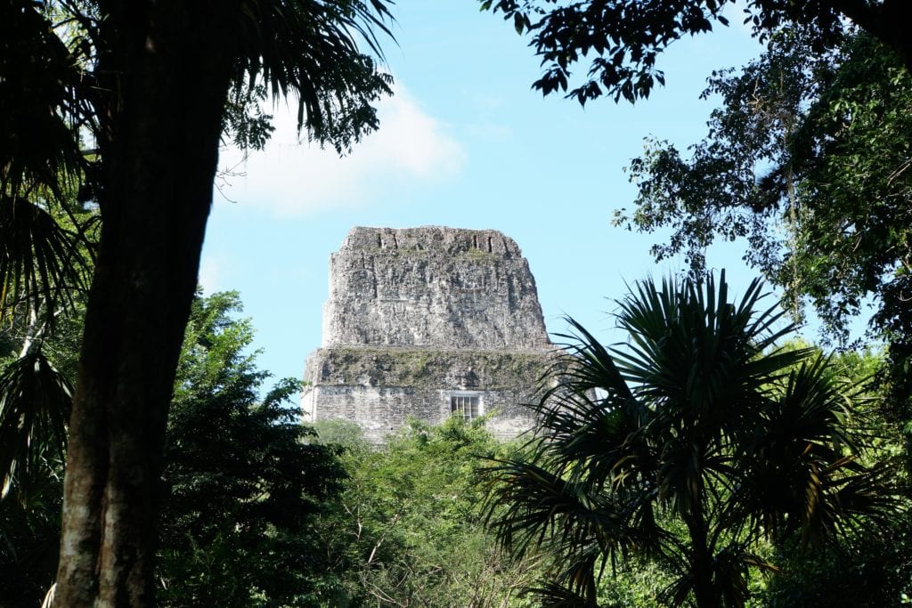 Top of Temple in Tikal