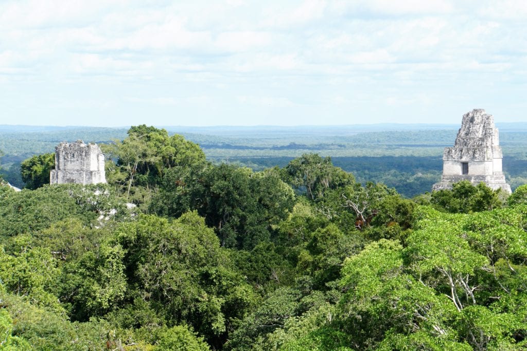 Tops of Temple I and Temple II