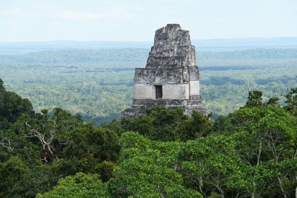 Temple viewed from above tree line Tikal