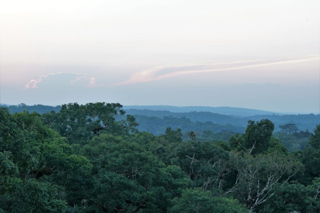 Sky over Tikal jungle