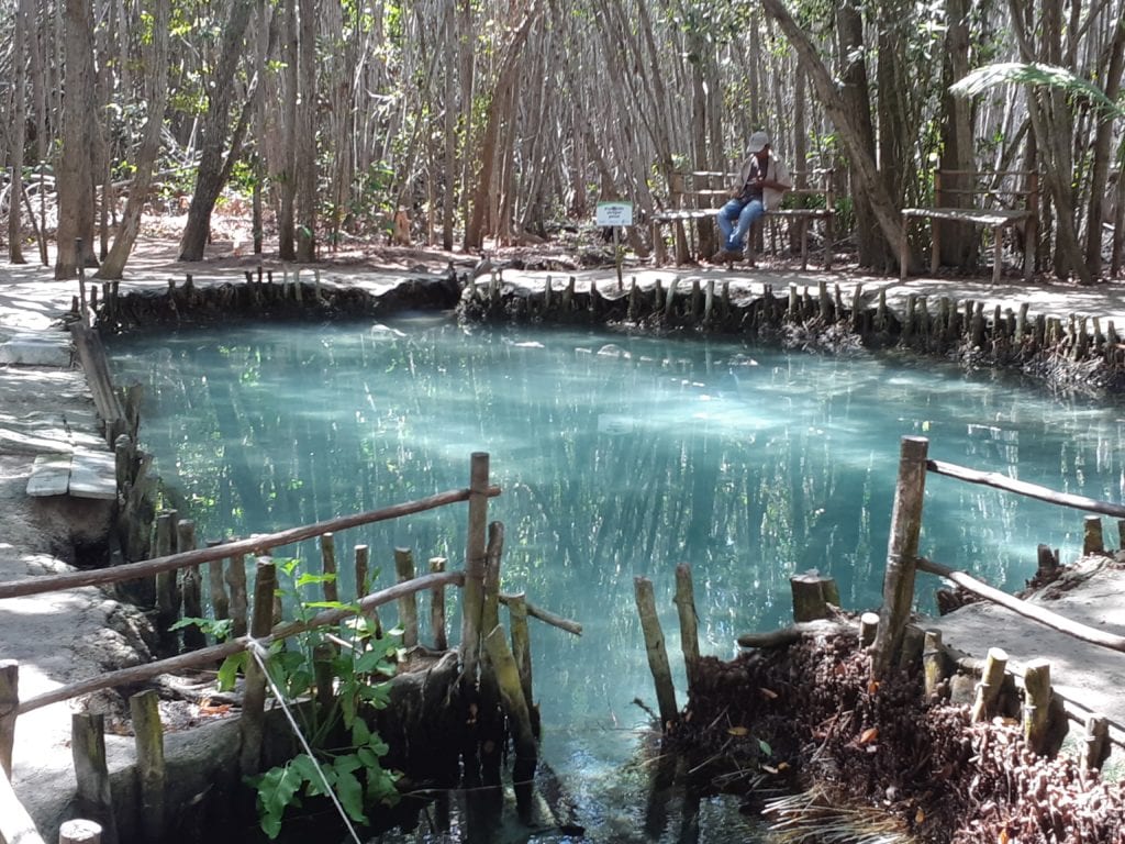 Ecological Reserve Corchito cenote