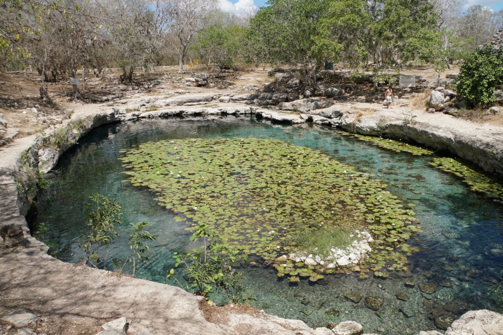 Cenote Xlakah located at Dzibilchaltun Mayan Ruins Yucatan