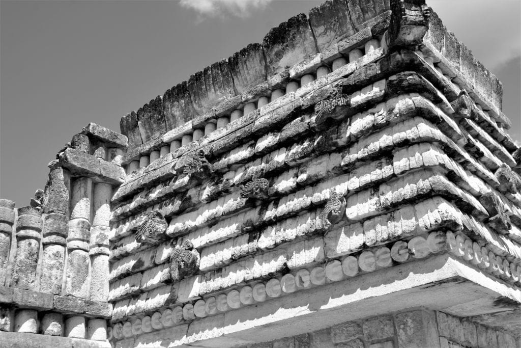 B&W Quadrangle of the birds