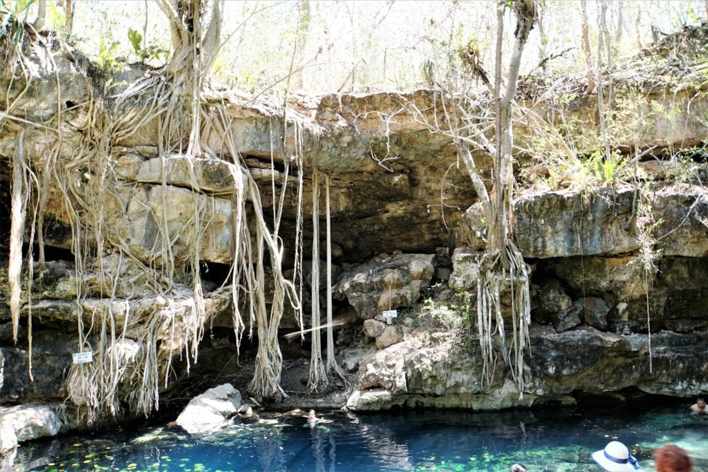 Viewed from cenote X’batun