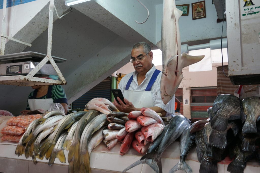 Veracruz Mercado fish vender