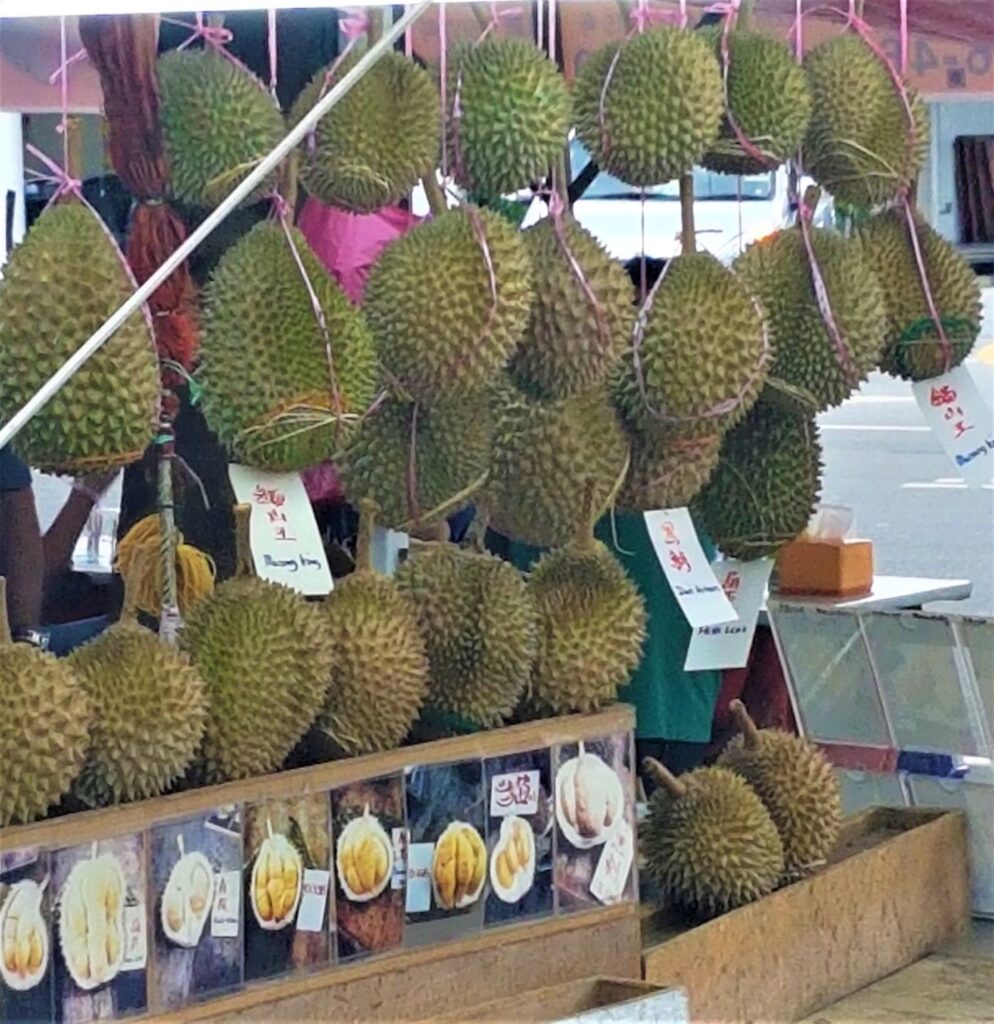 Durian fruit found in markets in Penang