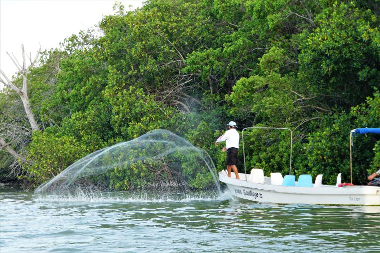 Fisherman casting fishing net