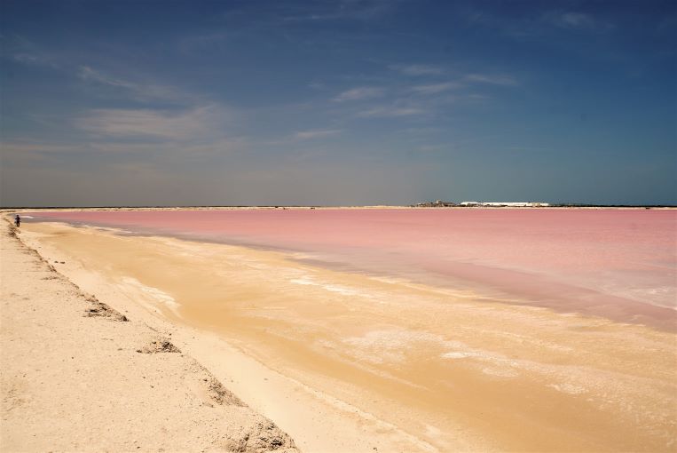 Las Coloradas Pink Lake