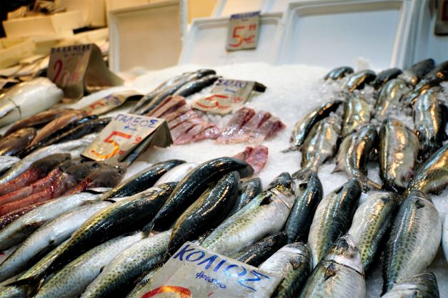 Fish displayed in local Athens market