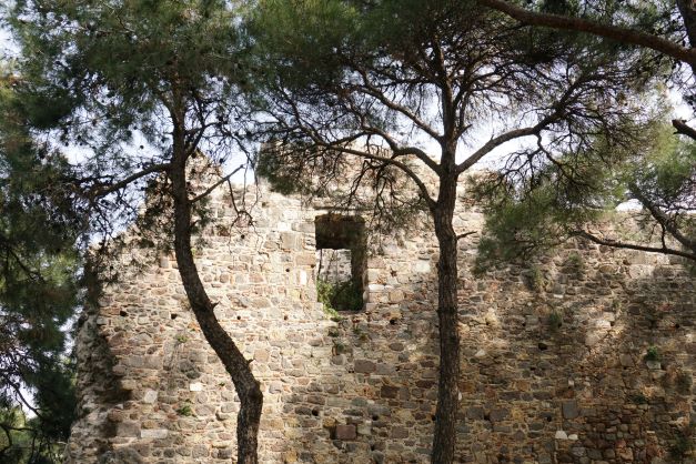 Kadifekale wall with trees around it