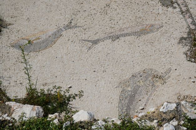 Fish Mosaics