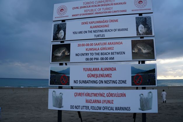 Patara beach turtle sign