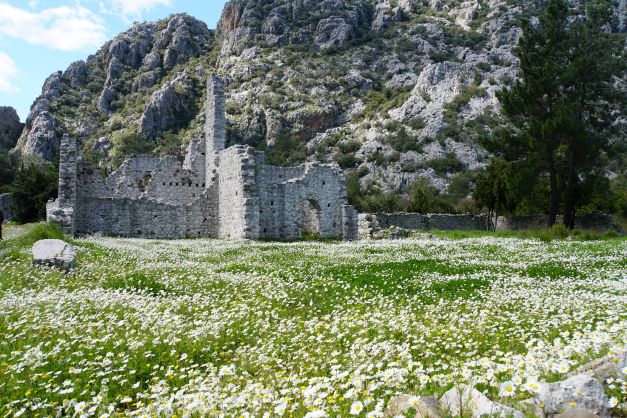 Ruins at Olympos flowers in the foreground