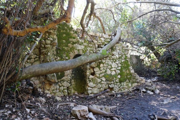 Ruins at Olympos in the bush