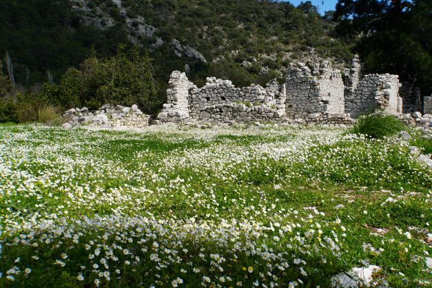 Ruins found at Olympos surrounded by flowers