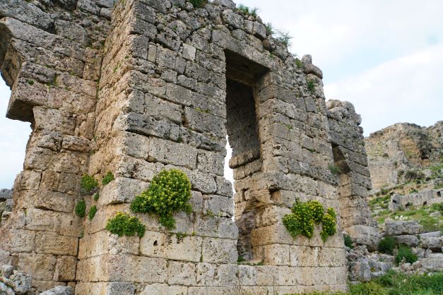 Ruins of Sillyon flowers growing