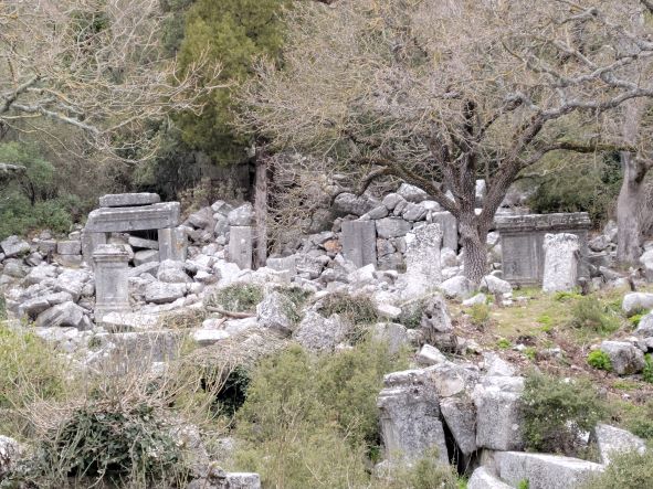 Ruins scattered amongst the trees at Termessos