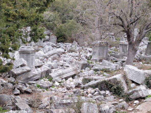 Ruins scattered amongst the trees