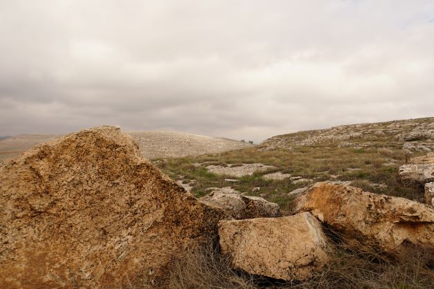 Gobekli Tepe Landscape